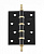 Петля стальная RENZ 100-4BB CH B/PB RENZ   